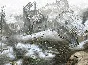 Commandos 3: Destination Berlin 💎STEAM KEY LICENSE