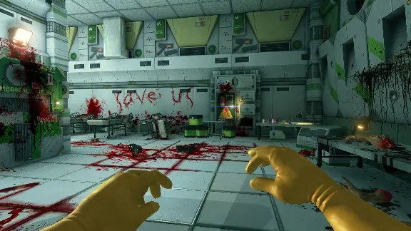 🎁Viscera Cleanup Detail (Steam Region Free)