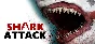 🎁Shark Attack Deathmatch 2 (Steam)(RU/ CIS)