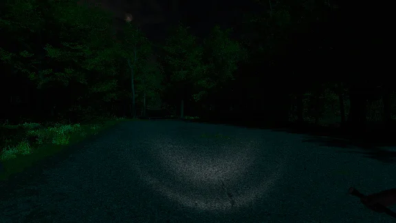 Scopaesthesia⚡AUTODELIVERY Steam Russia