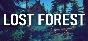 Lost Forest⚡AUTODELIVERY Steam Russia