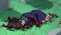 The Many Deaths of Lily Kosen⚡АВТОДОСТАВКА Steam