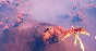 开局一只蛋⚡АВТОДОСТАВКА Steam Россия
