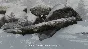 The Whisperer (Le murmureur) - GOG Key / GLOBAL