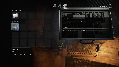 Resident Evil 4 Charm: ´Green Herb´ DLC STEAM ⚡️АВТО