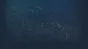 🔥 Doomsday Hunters | Steam RU+UA+KZ+CIS 🔥
