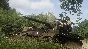 Arma 3 Creator DLC: Spearhead 1944 DLC STEAM ⚡️AUTO