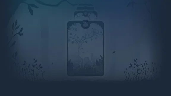 🔥 Druidwalker | Steam RU+UA+KZ+CIS 🔥