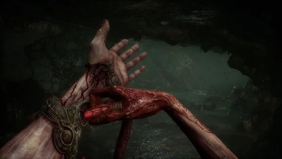 Scorn (Steam) RU/CIS