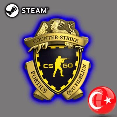 🎯Counter-Strike 2 Прайм-статус🎁Steam Россия РФ Турция