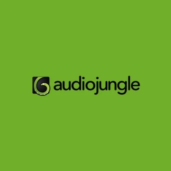 AudioJungle File Download Service