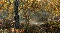 ❗THE ELDER SCROLLS V SKYRIM SPECIAL ❗XBOX ONE|X/S🔑КЛЮЧ