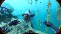 ✅Subnautica XBOX ONE/SERIES X/S Лицензионный ключ 🌎
