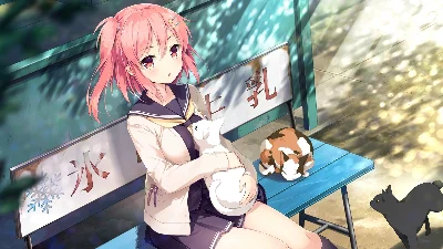 Koi x Shin Ai Kanojo FHD Edition 💎 STEAM GIFT РОССИЯ