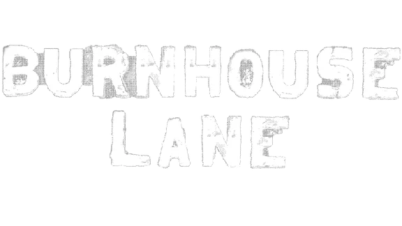 🔥 Burnhouse Lane | Steam РУ+UA+KZ+СНГ🔥