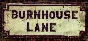 🔥 Burnhouse Lane | Steam РУ+UA+KZ+СНГ🔥