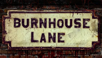 🔥 Burnhouse Lane | Steam РУ+UA+KZ+СНГ🔥