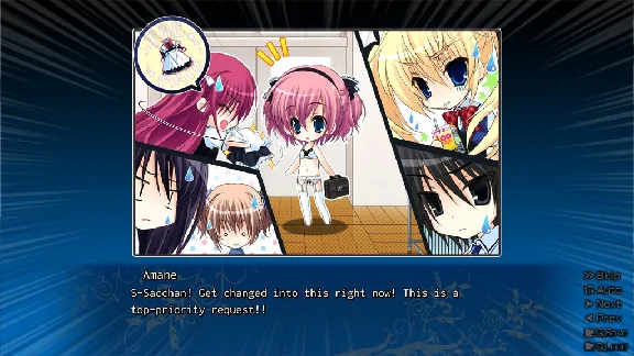 The Fruit of Grisaia 💎 STEAM GIFT RUSSIA