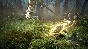 ❗BLACK DESERT: EXPLORER EDITION❗XBOX ONE/X|S🔑KEY❗