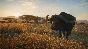 THEHUNTER™: CALL OF THE WILD - VURHONGA SAVANNA❤️XBOX🔑