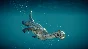Jurassic World Evolution 2: Prehistoric Marine Species