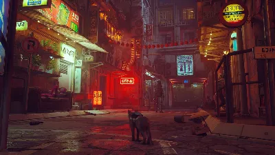 ✅ Stray Xbox One & Xbox Series X|S активация