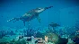 JURASSIC WORLD EVOLUTION 2: PREHISTORIC MARINE SPECIES