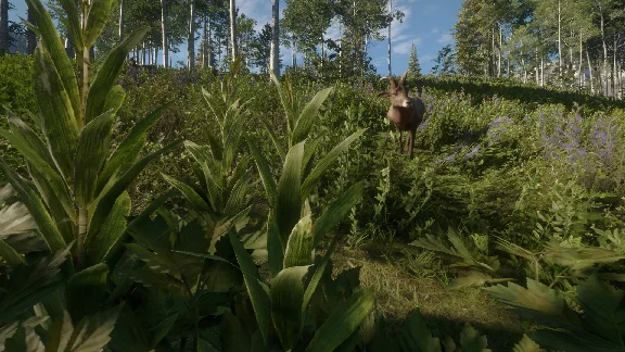 THEHUNTER CALL OF THE WILD SILVER RIDGE PEAKS❗XBOX КОД