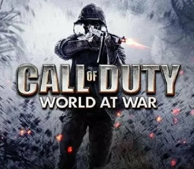 Call of Duty: World at War✔️STEAM Account