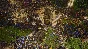 SpellForce 3 Reforced STEAM•RU ⚡️AUTODELIVERY 💳0%