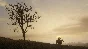RED DEAD REDEMPTION & RED DEAD REDEMPTION 2 BUNDLE