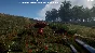 Forest Frenzy STEAM KEY REGION FREE GLOBAL ROW