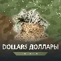 RDO 💸 DOLLARS $ 🤠 RED DEAD ONLINE RDR REDEMPTION 2