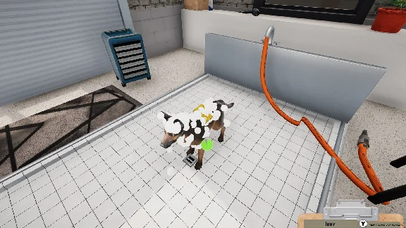 ❗ANIMAL SHELTER SIMULATOR❗XBOX ONE/X|S🔑КЛЮЧ❗
