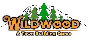 🔥 Wildwood: A Town Building Game | Steam RU+UA+KZ+CIS 