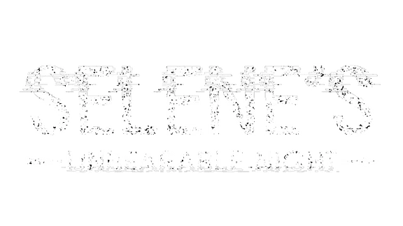 🔥 Selene´s Unbearable Night | Steam RU+UA+KZ+CIS 🔥