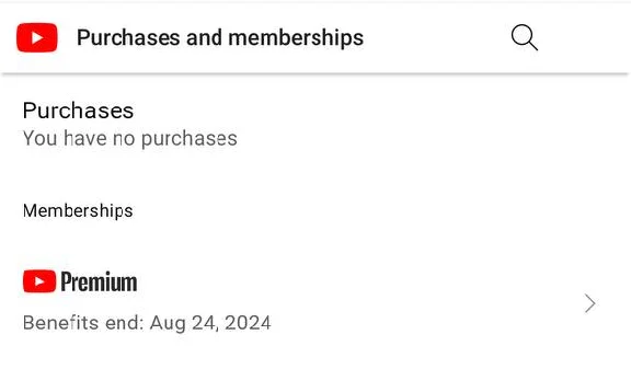 ⚡FAST❗️12 MONTHS YOUTUBE PREMIUM