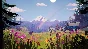 ✅ The Oregon Trail Xbox One|X|S activation