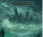 ⭐ HOGWARTS LEGACY DELUXE EDITION⭐ОФФЛАЙН АКТИВАЦИЯ 💳0%