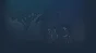🔥 The Plague Doctor of Wippra | Steam RU+UA+KZ+CIS 🔥