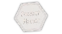 🔥 Pocket Planet | Steam RU+UA+KZ+CIS 🔥