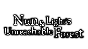 🔥 Nun and Light´s Unreachable Forest | Steam RU+CIS