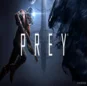 ⭐️ Prey (2017) Steam Gift ✅ AUTO 🚛 ALL REGIONS RU CIS