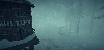 The Long Dark · Steam Gift RU · AUTODELIVERY