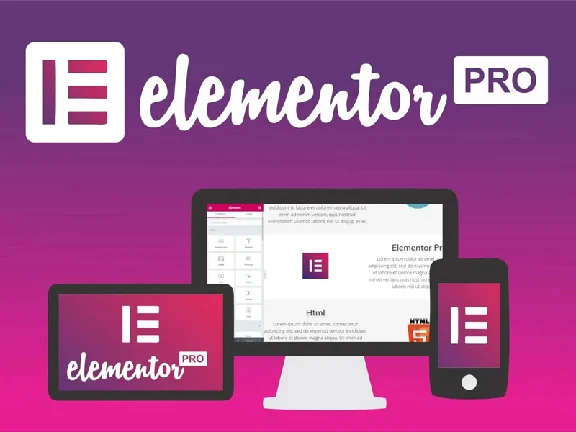 Element or Pro license with all updates for 1 year