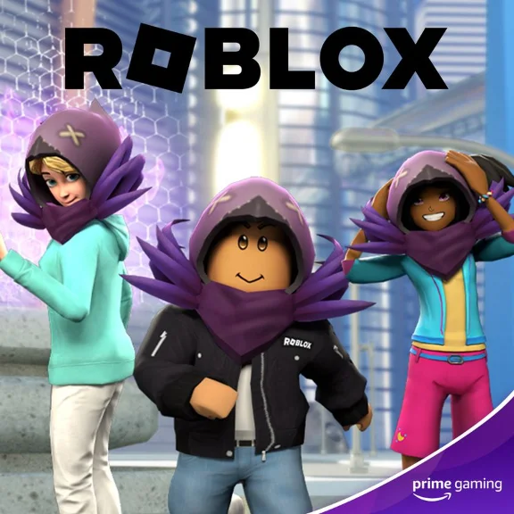 Code 🔑 Roblox ⭐️ Raven Hunter Hood - Tower Defense Sim
