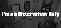 I´m on Observation Duty 💎 STEAM GIFT РОССИЯ