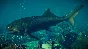 Jurassic World Evolution 2: Prehistoric Marine Species