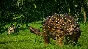 ❗JURASSIC WORLD EVOLUTION: CLAIRE´S SANCTUARY❗XBOX ONE/
