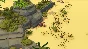❗STRANDED SAILS - EXPLORERS OF THE CURSED ISLANDS🔑XBOX